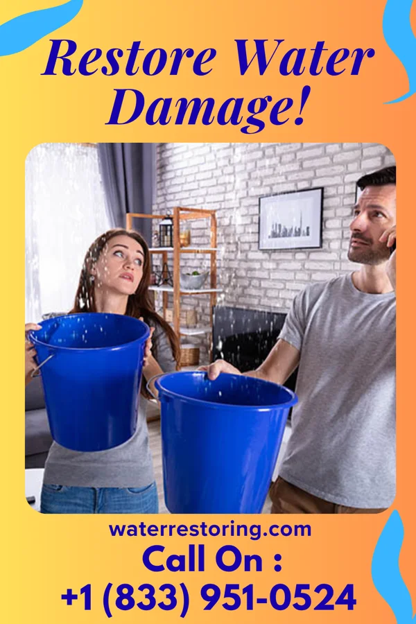 water restoration Capital Water Removal Sigel
