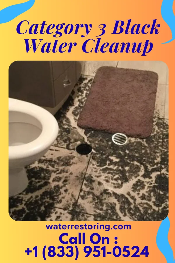 Category 3 Black Water Cleanup in Sigel, IL