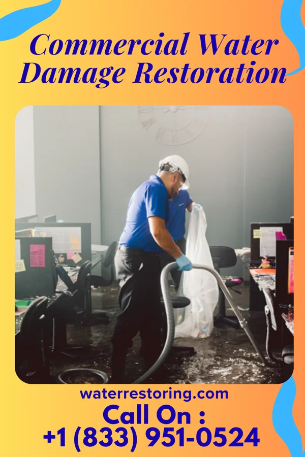 Commercial Water Damage Restoration in Sigel, IL